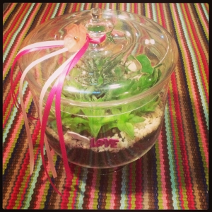 Pink Ribbons and a Decorative Flower Festoon The Lid of This Apothecary Jar Succulent Terrarium. $52