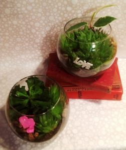 Smaller terrariums are perfect on a desk, or bedside table. $14 each