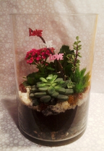 Large Succulent Terrarium with a blooming kalanchoe. $48