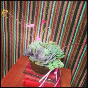 Purple and Aqua Succulents make up this sweet Valentine's Day Succulent Container Garden. $34