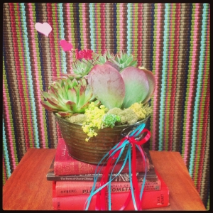 Kalanchoe luciae, Echeveria agavoides, Echeveria pulvinata, and sedum Succulent Garden make a lovely living Valentine. $34. 