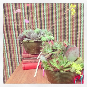 Valentine Succulent Gardens, waiting for you to claim them! $34 each